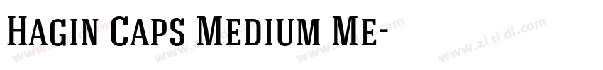 Hagin Caps Medium Me字体转换